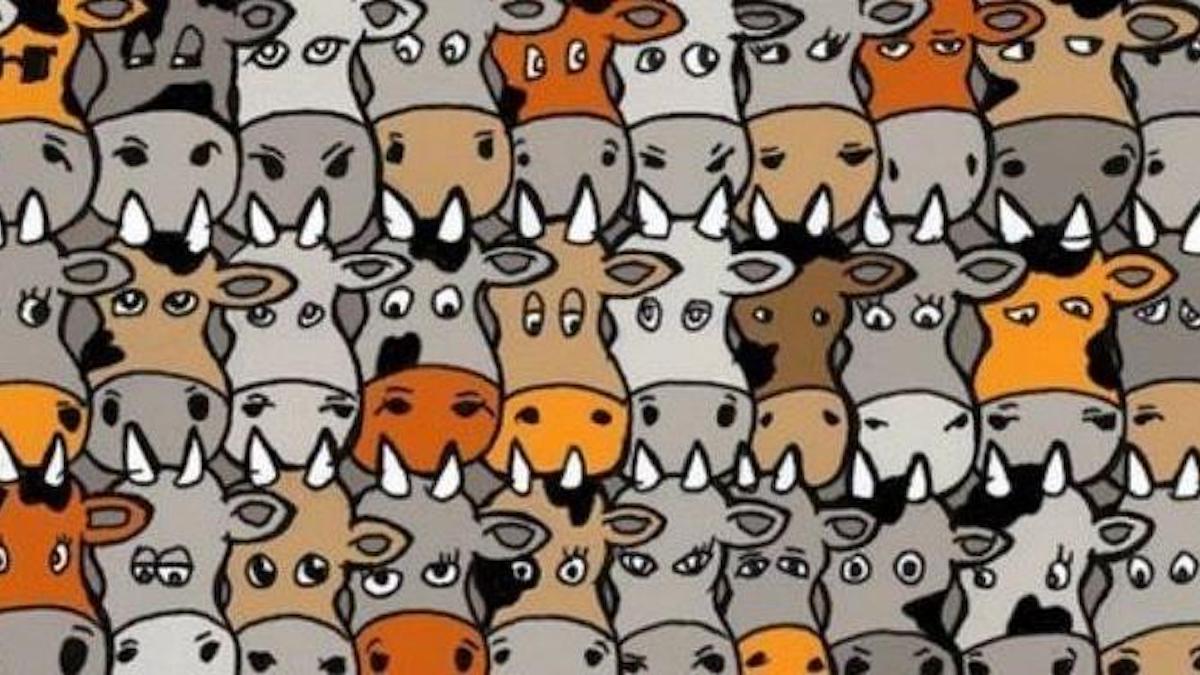Test visuel : trouver le chien caché parmi les vaches en moins de 10 secondes