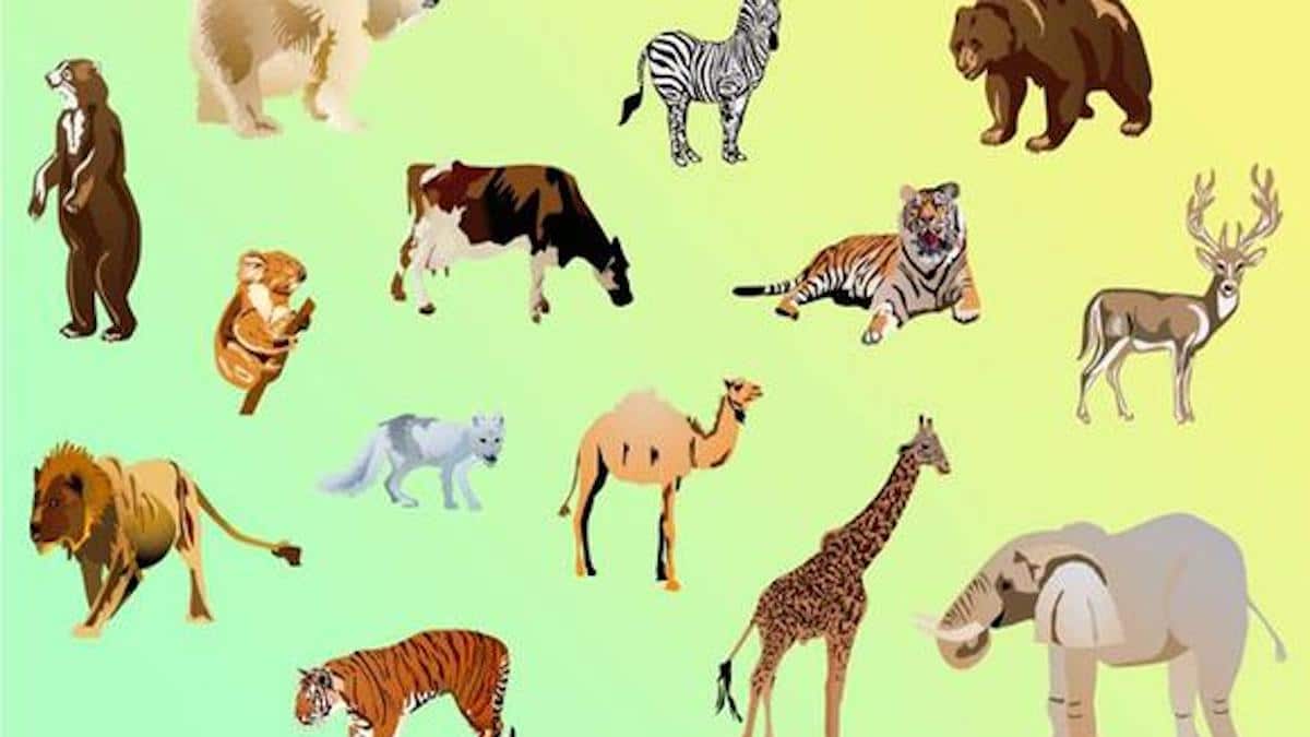 Trouvez l'animal qui n'appartient pas à ce groupe en seulement 10 secondes dans ce test visuel.