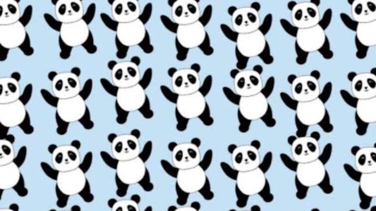 Trouvez le panda qui se distingue des autres en 10 secondes : seuls 97% ont résolu ce test visuel.