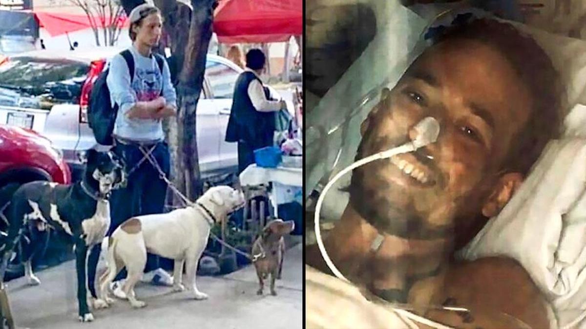 Un acteur français a perdu la vie au Mexique après avoir sauté dans une source d'eau chaude sulfureuse pour tenter de sauver son chien.