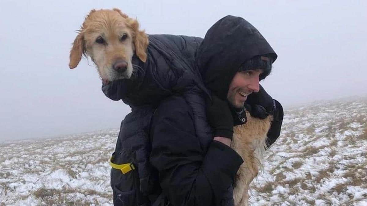 Un couple sauve une chienne perdue depuis deux semaines dans les montagnes