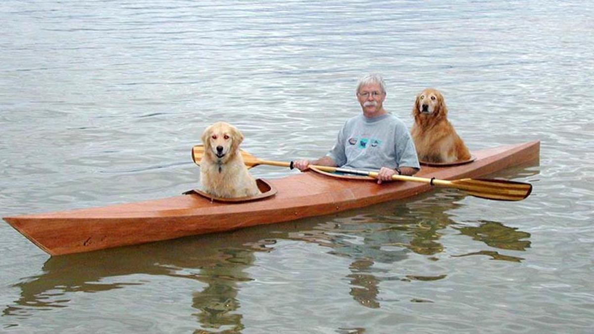 Un homme a construit un kayak sur mesure pour pouvoir emmener ses chiens à l'aventure.