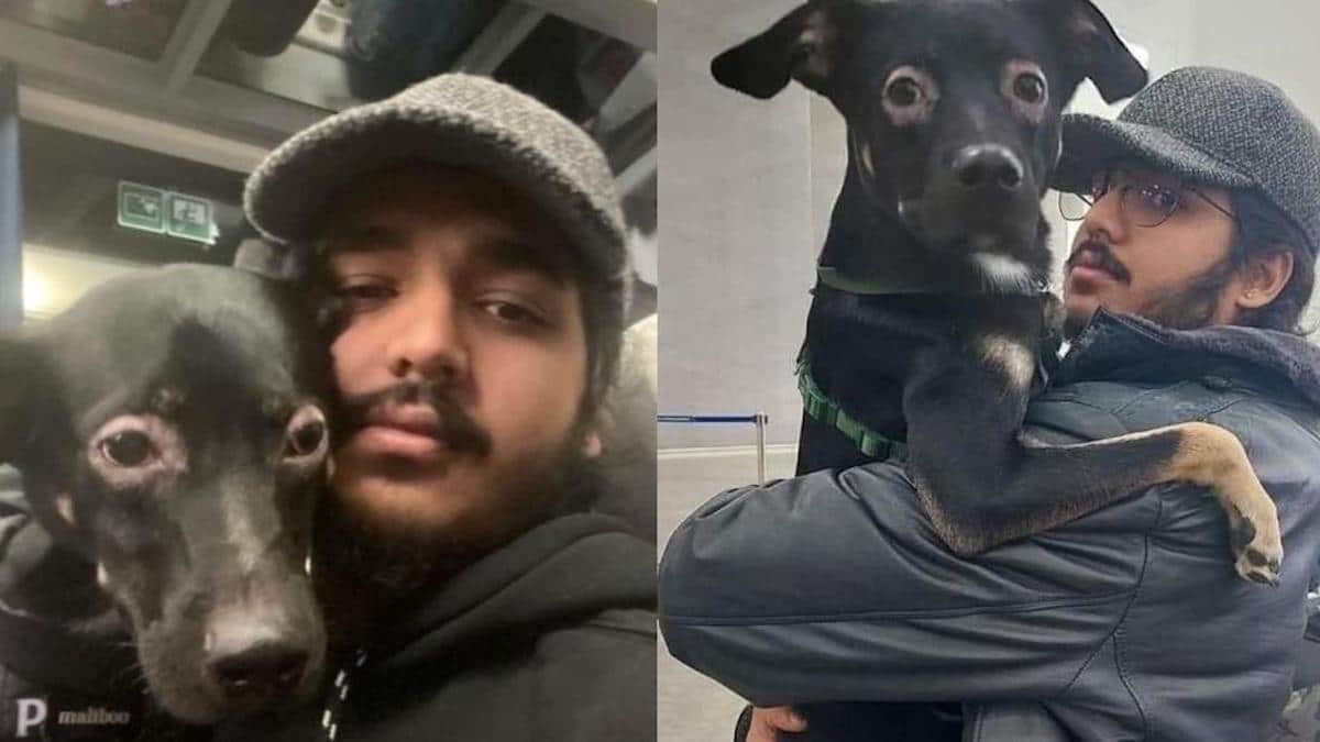 Un homme qui refusait de quitter le pays sans son chien est mis en sécurité après avoir plaidé sa cause.