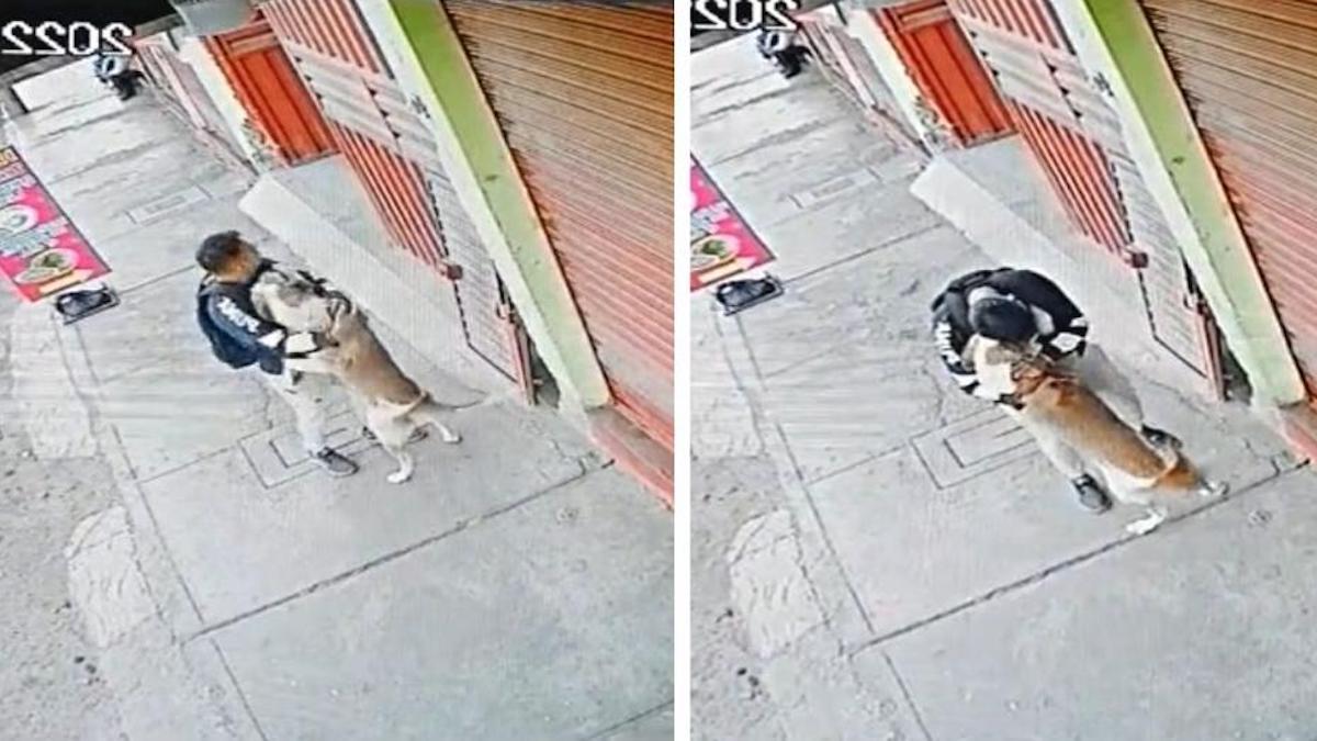 Un jeune homme arrive pour ouvrir son commerce et un chien l'accueille chaque jour avec des câlins et des bisous.