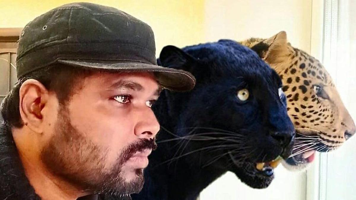Un médecin indien refuse de quitter l'Ukraine sans ses animaux domestiques : un jaguar et une panthère.