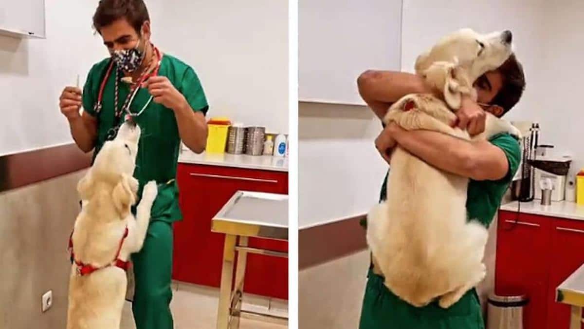 Un vétérinaire a une façon adorable de vacciner les chiens sans qu'ils s'en rendent compte.