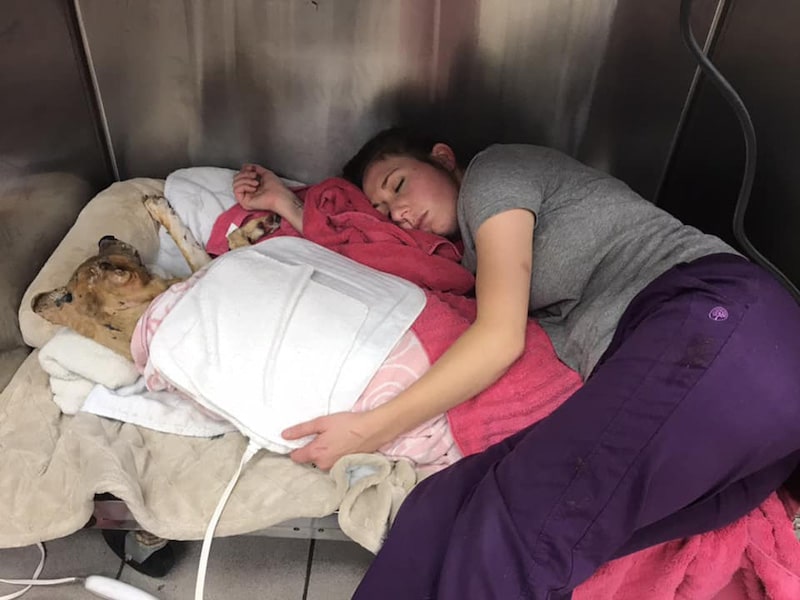 dormire