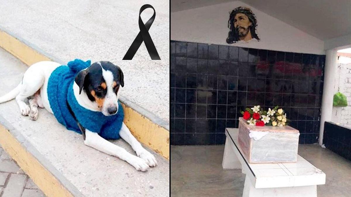Un village péruvien fait un adieu honorable à un chien errant qui a gagné l'affection de tous.