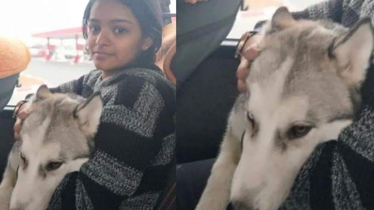 Une étudiante indienne fuit l'Ukraine avec son chien, confrontée à un voyage semé d'embûches a fait face à un voyage rempli d'obstacles