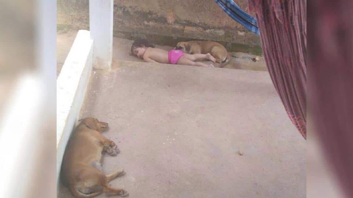 Une famille perçoit le silence et découvre que son enfant fait la sieste avec son chien.