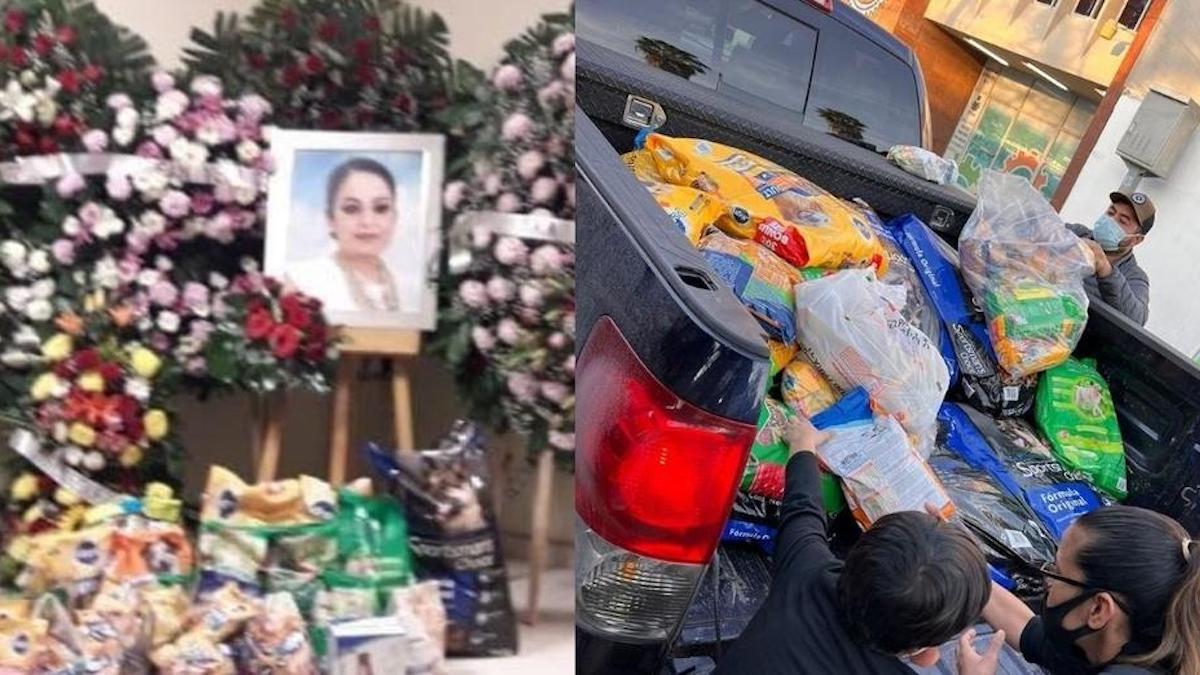 Une femme demande des croquettes au lieu de fleurs lors d'un enterrement pour aider les chiens errants.