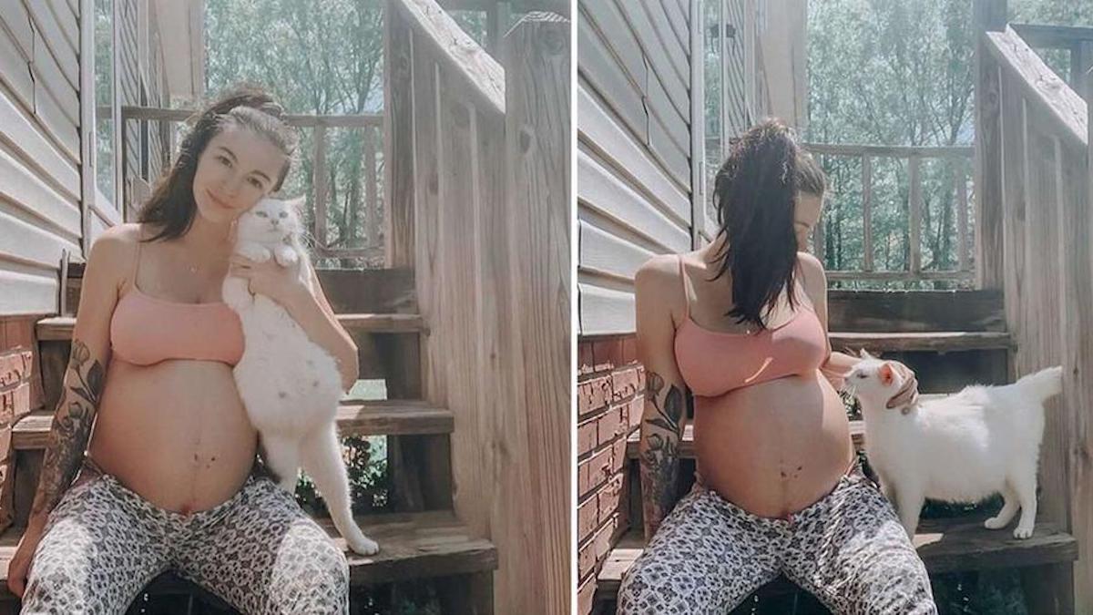 Une femme et une chatte sans abri enceinte mettent bas en même temps