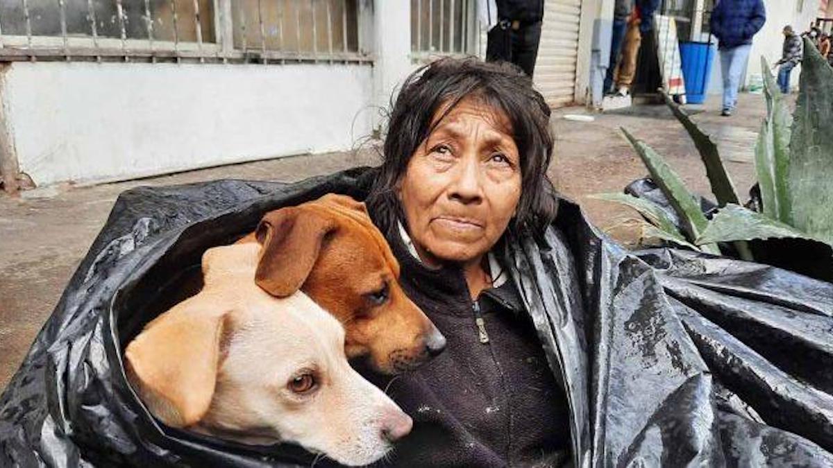 Une femme sans domicile fixe dort dans un sac poubelle avec ses six chiens sauvés.