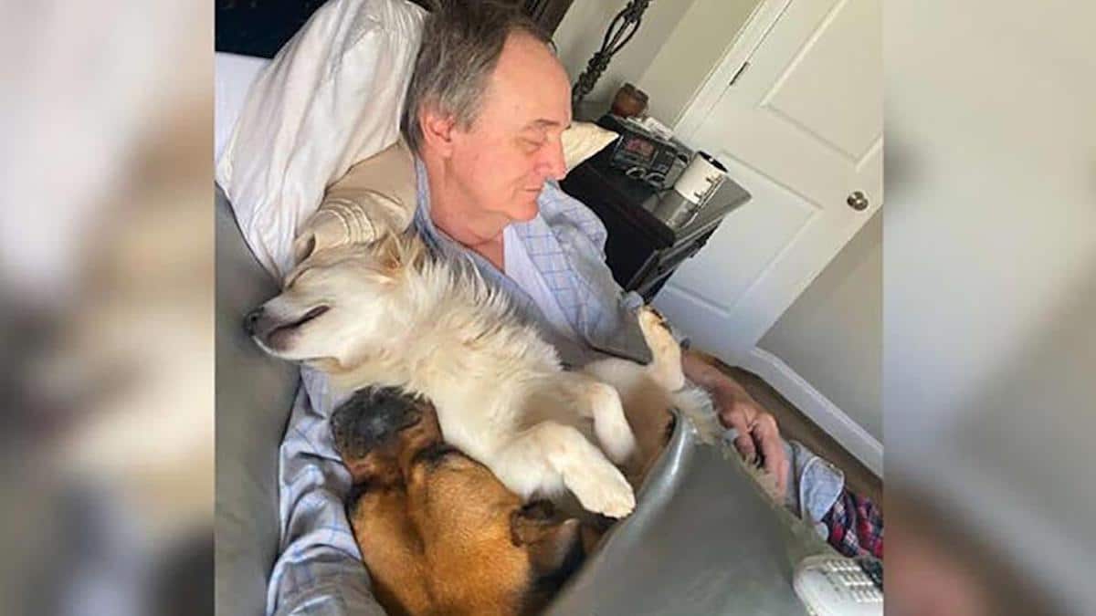 Une femme trouve son père en train de faire la sieste avec les chiens du voisinage