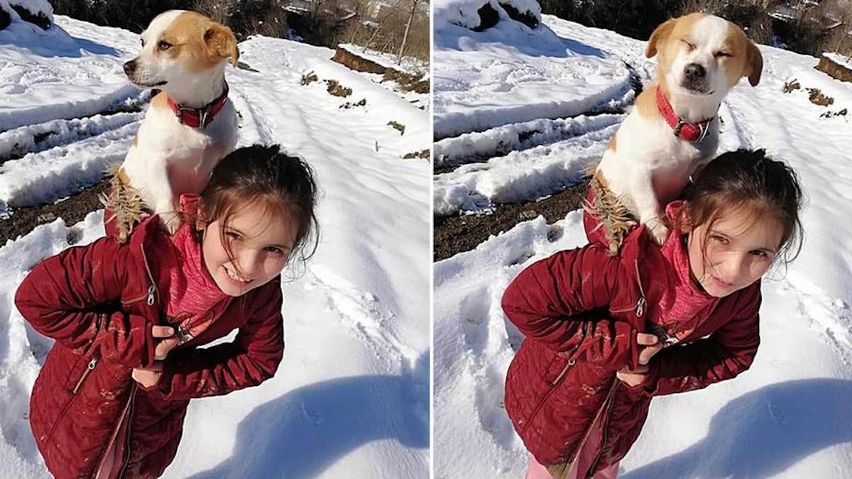 Une fille se fraye un chemin dans la neige pour venir en aide à son petit chien.