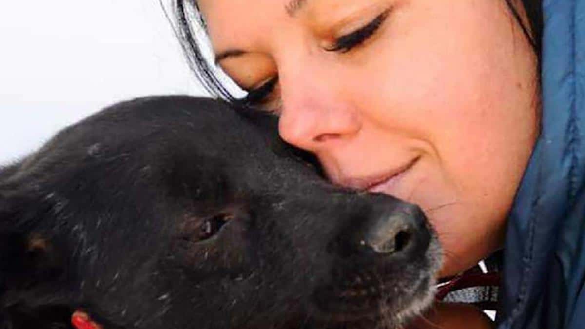 Une mère courageuse sauve ses enfants et retourne seule en Ukraine pour sauver des chiens en détresse