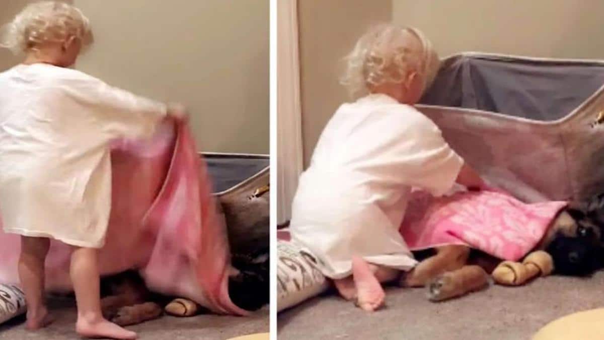 Une petite fille s'assure de border son meilleur ami canin avant de se coucher.