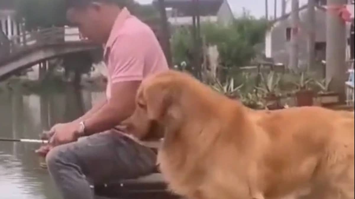 Vidéo : Le moment où un chien rend le poisson que son maître a pêché dans un lac.