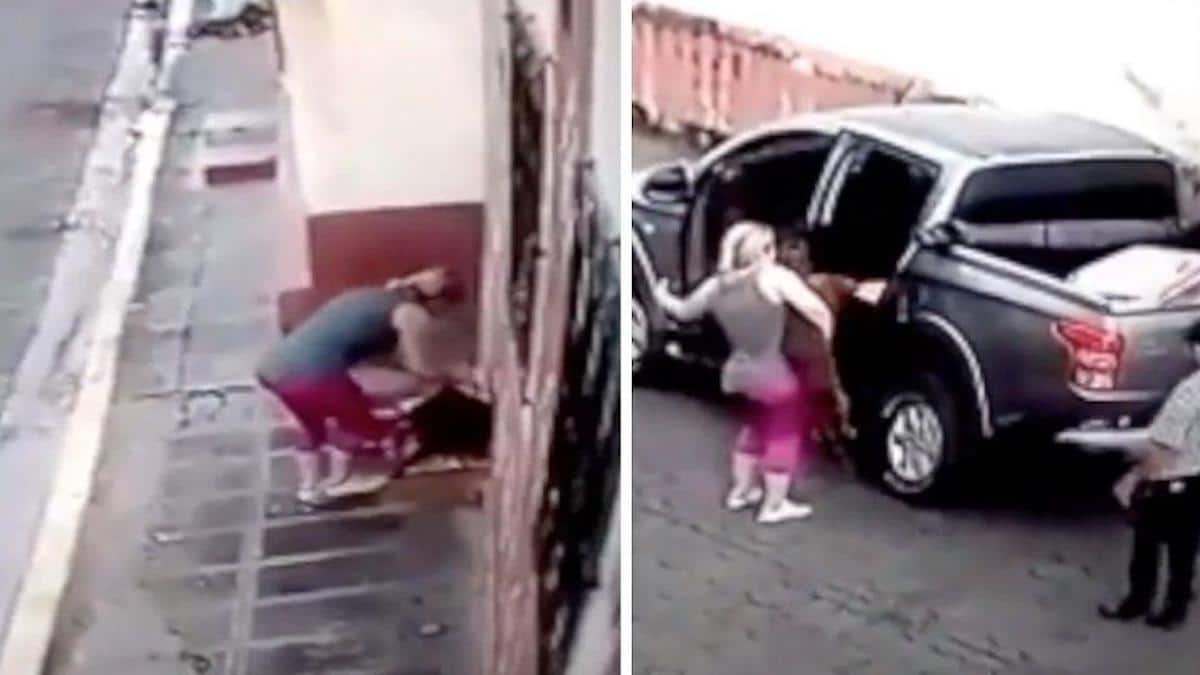 Vidéo: Une femme voit un chien errant qui appelle à l'aide et arrête sa voiture sans savoir qu'elle est filmée.