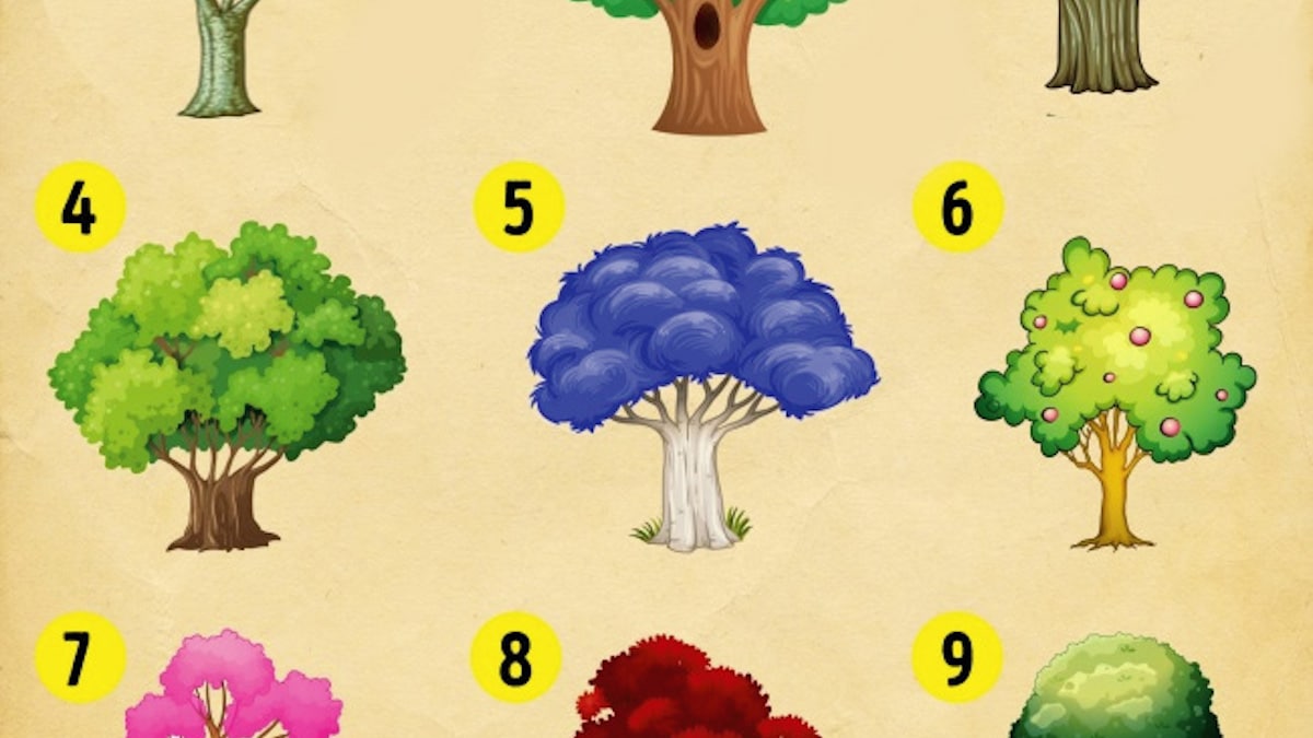 Test: Choisissez votre arbre préféré et découvrez un grand secret sur votre personnalité.
