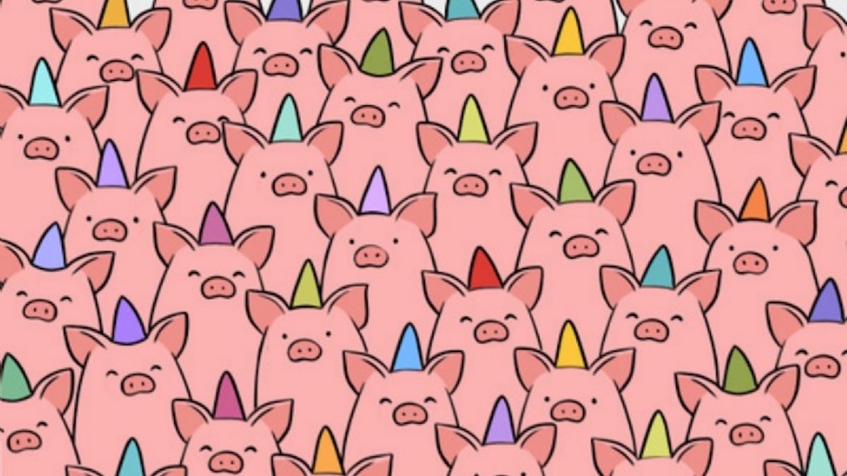 Énigme visuelle : Pouvez-vous trouver les 3 petits cochons sans chapeau dans l'image ?