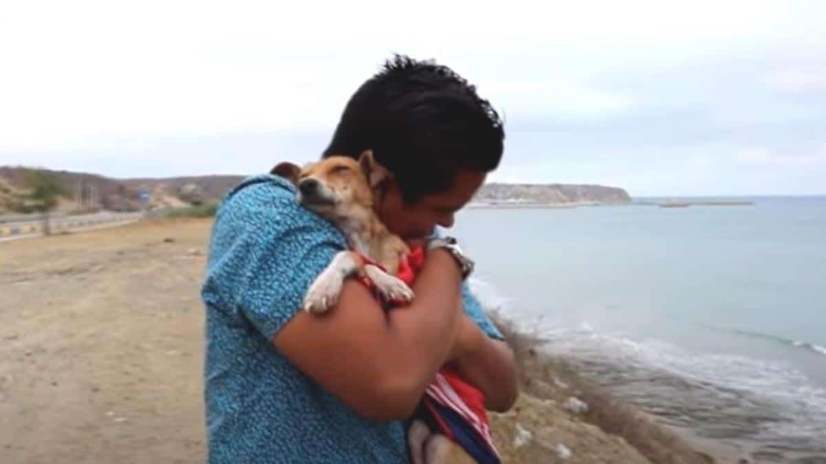 Il donne un dernier bisou au chien qu'il a essayé de sauver mais n'a pas pu avant qu'il ne ferme les yeux pour toujours