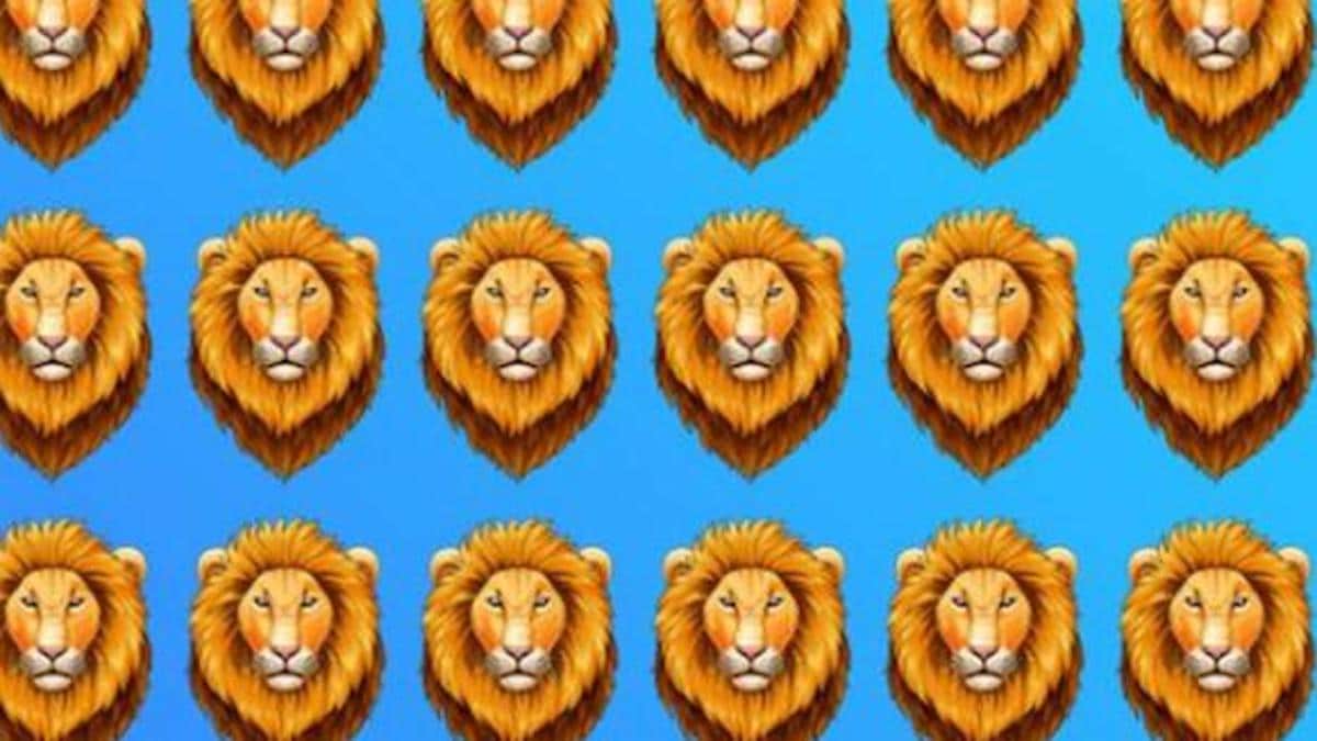 Pouvez-vous trouver les différents lions dans le défi visuel ? Vous avez cinq secondes