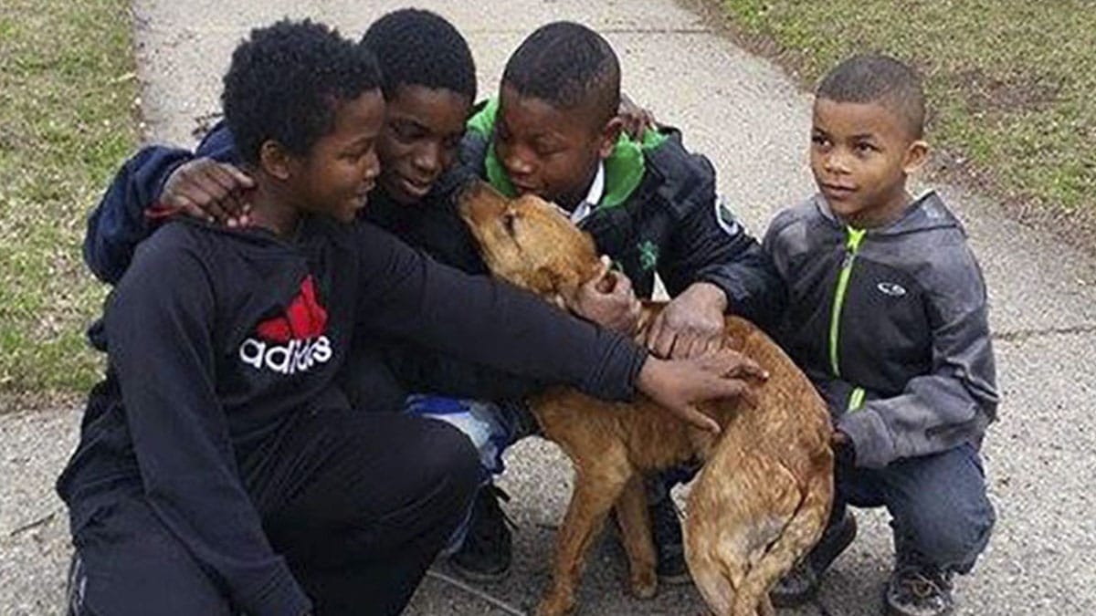 Quatre enfants héroïques sauvent une chienne affamée attachée avec des cordes élastiques
