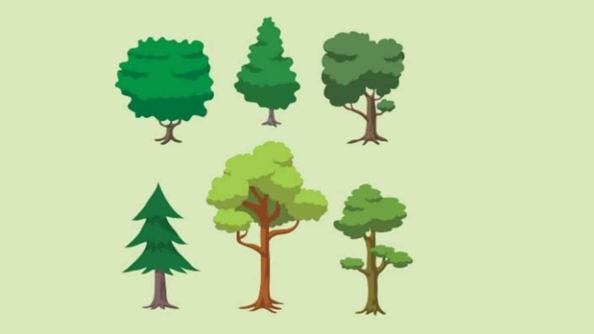 Test de l'arbre : quels aspects de la personnalité sont révélés par la façon dont nous dessinons l'arbre ?