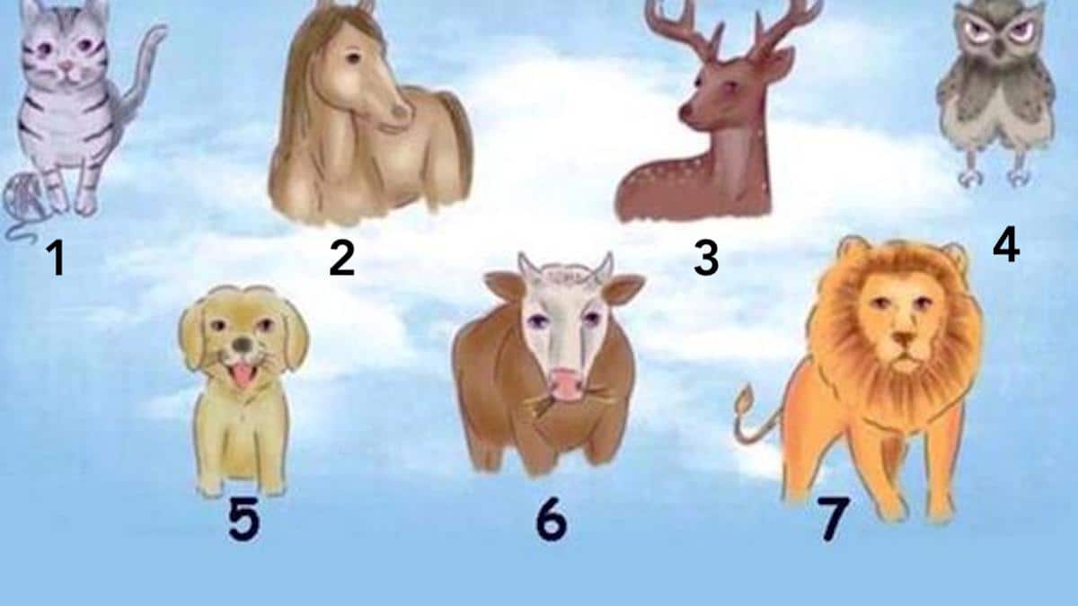 Test viral : Choisissez l'un des 7 animaux et vous serez surpris de savoir quel est votre véritable instinct.