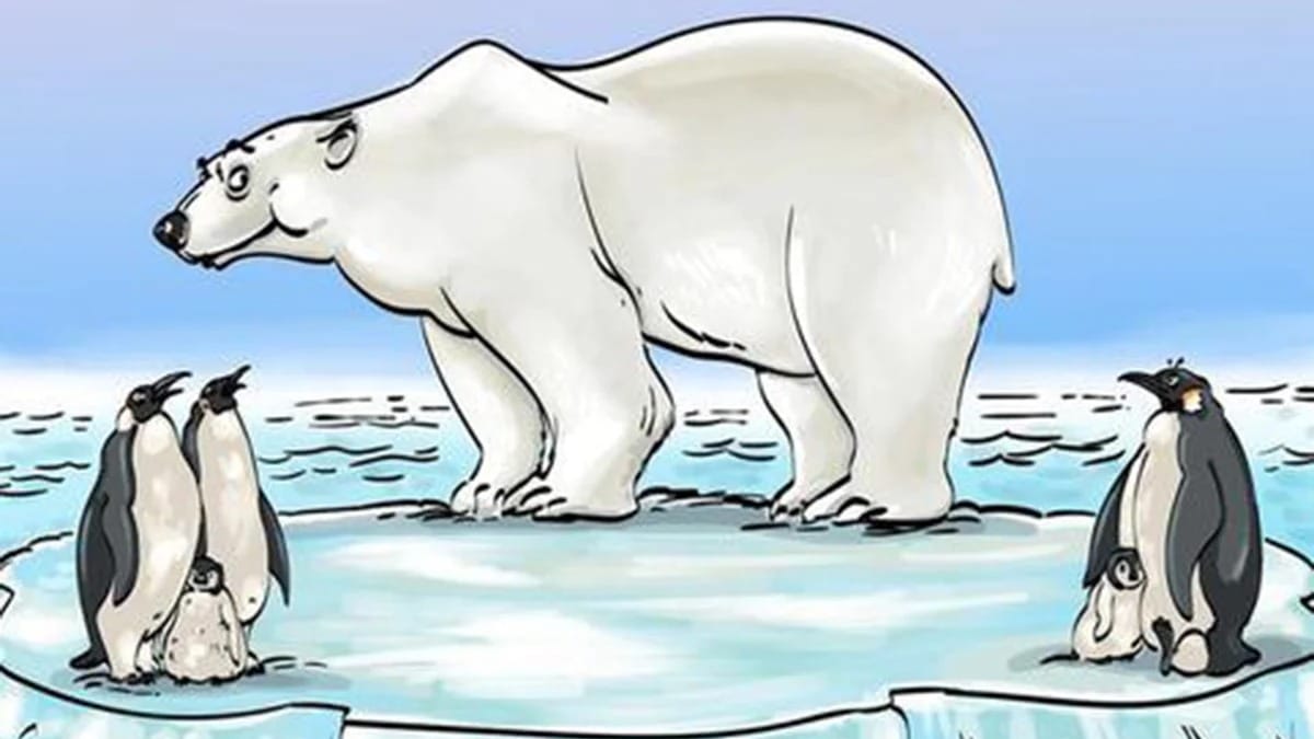 Test visuel : trouvez l'erreur dans l'image de l'ours polaire en seulement 7 secondes