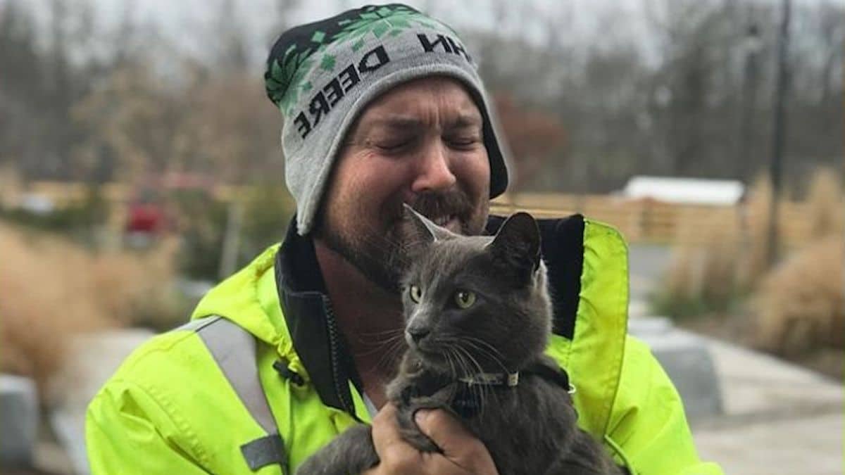 Un chauffeur de camion est ému lorsqu'il retrouve son chat perdu bien-aimé
