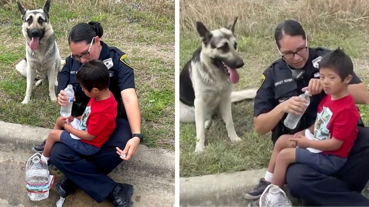 Un chien s'occupe d'un enfant perdu et handicapé et s'en occupe jusqu'à l'arrivée des sauveteurs.