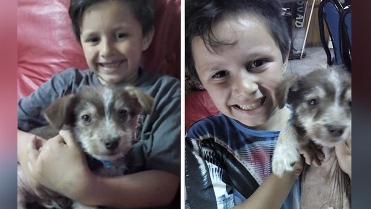Un garçon a sauvé un chiot, l'a emmené chez le vétérinaire avec ses économies et l'a adopté