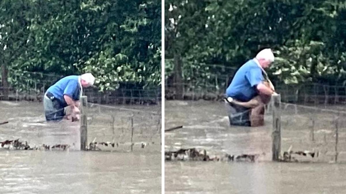 Un homme entre dans l'eau pour libérer un chien et le chien le remercie en lui faisant un câlin.