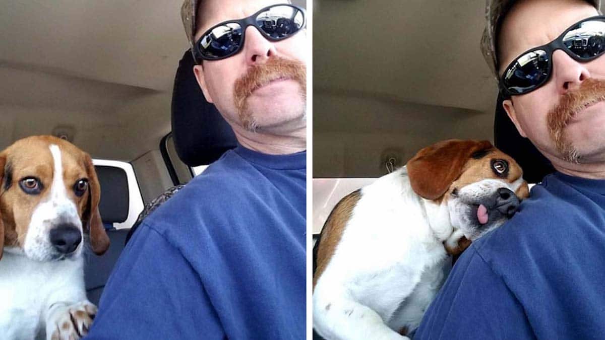 Un homme sauve un beagle qui avait été euthanasié dans un refuge et il le remercie avec un câlin.