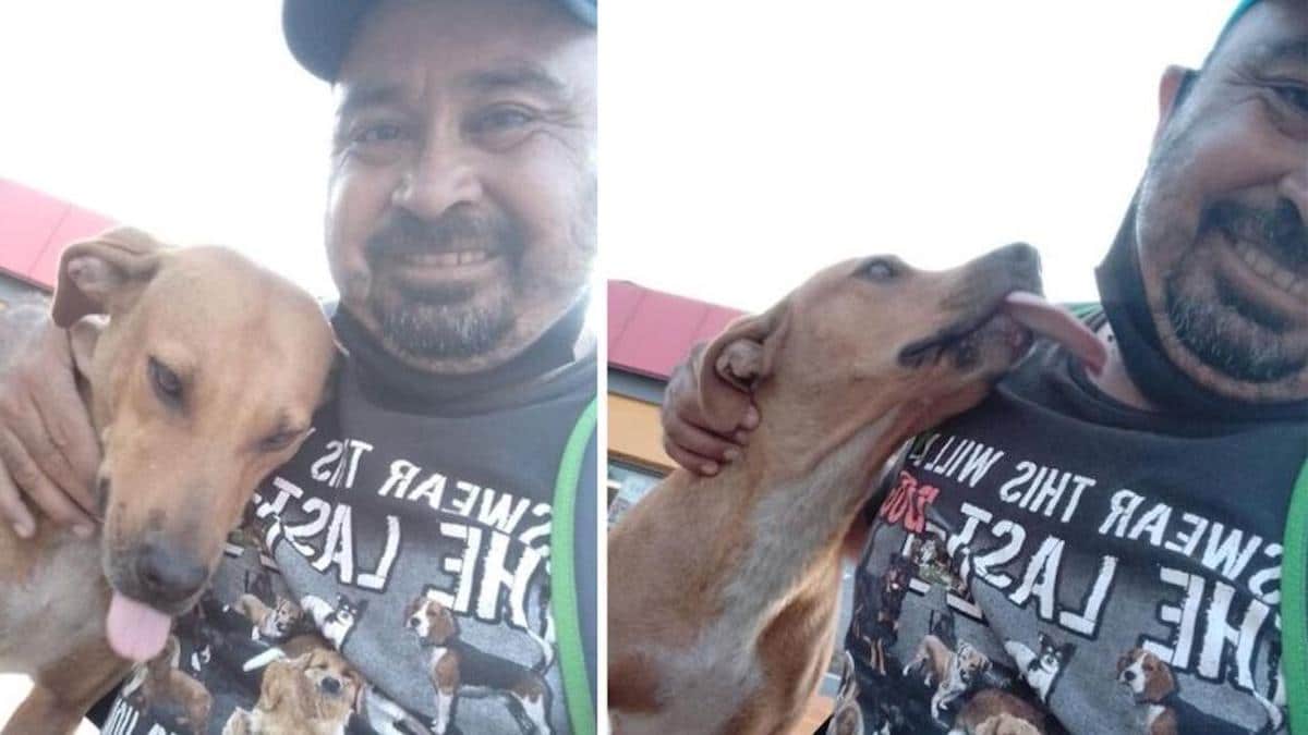 Un homme sauve une chienne qui l'avait mordu et son histoire devient virale.