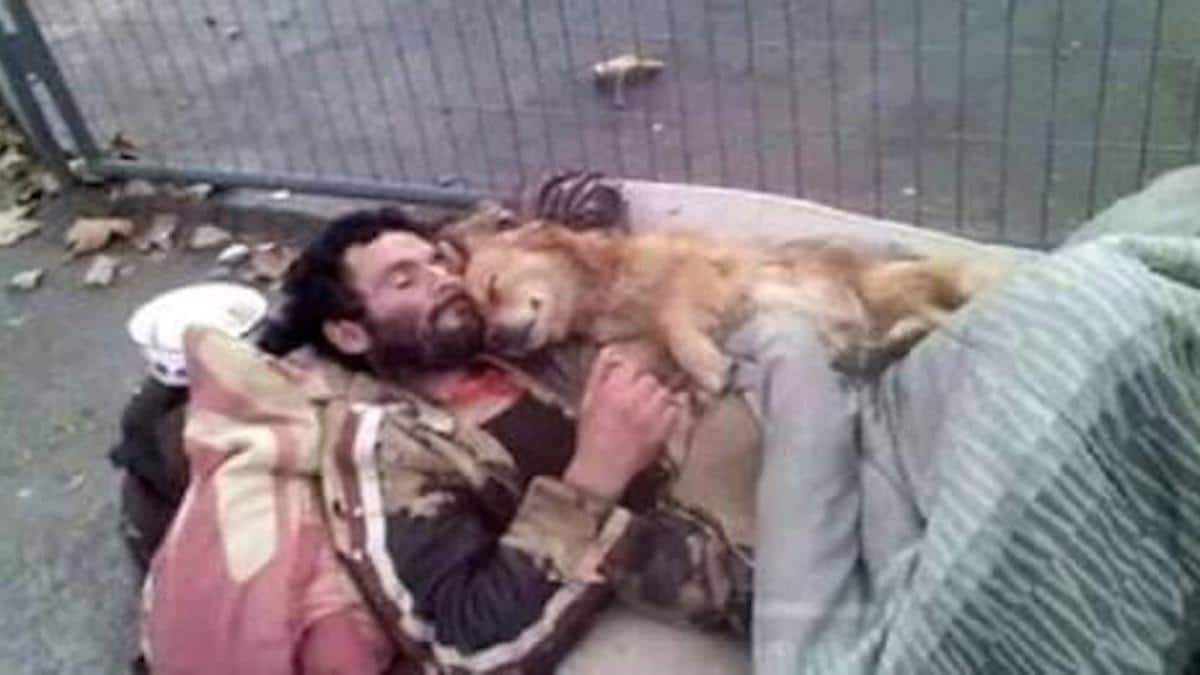 Un sans-abri et son chien se serrent l'un contre l'autre pour se réconforter dans la rue