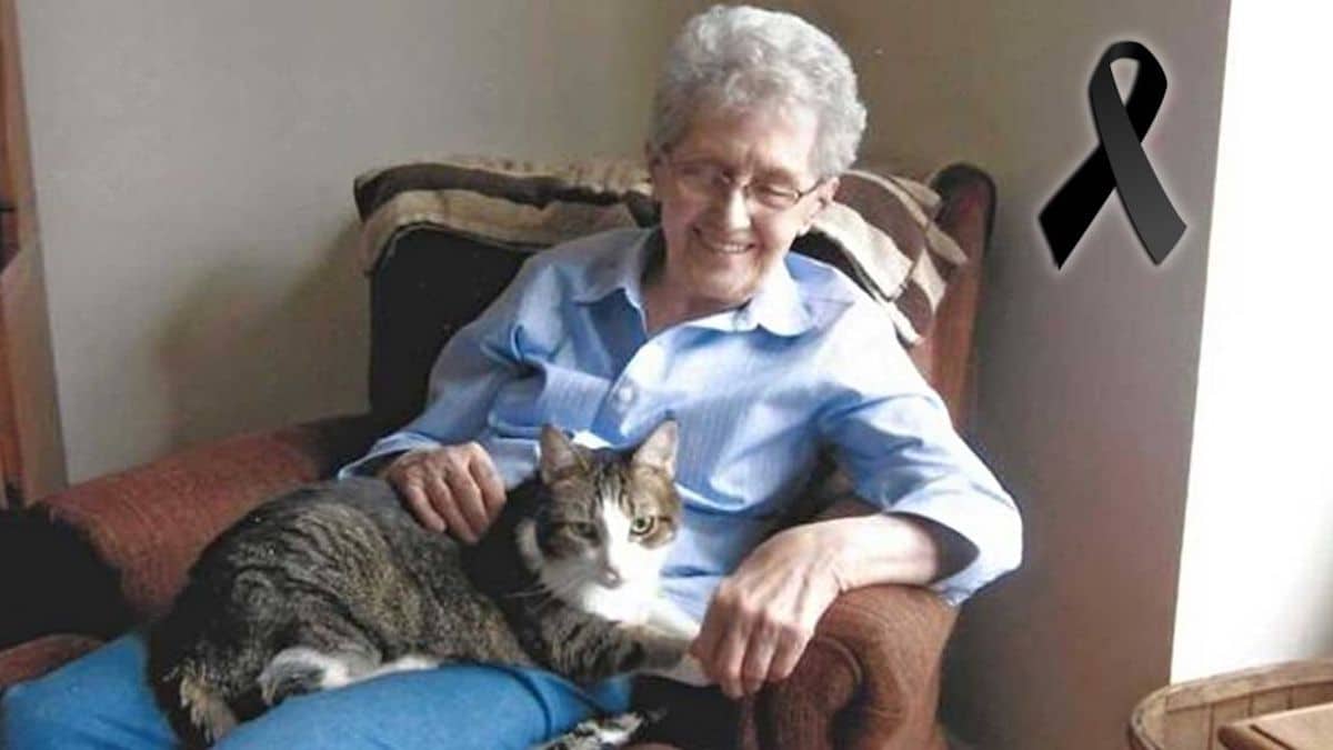 Une dame et son inséparable chat perdent la vie à quelques heures d'intervalle