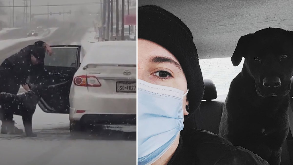 Une femme a utilisé des tortillas pour attirer le chien dans sa voiture et le sauver des fortes chutes de neige