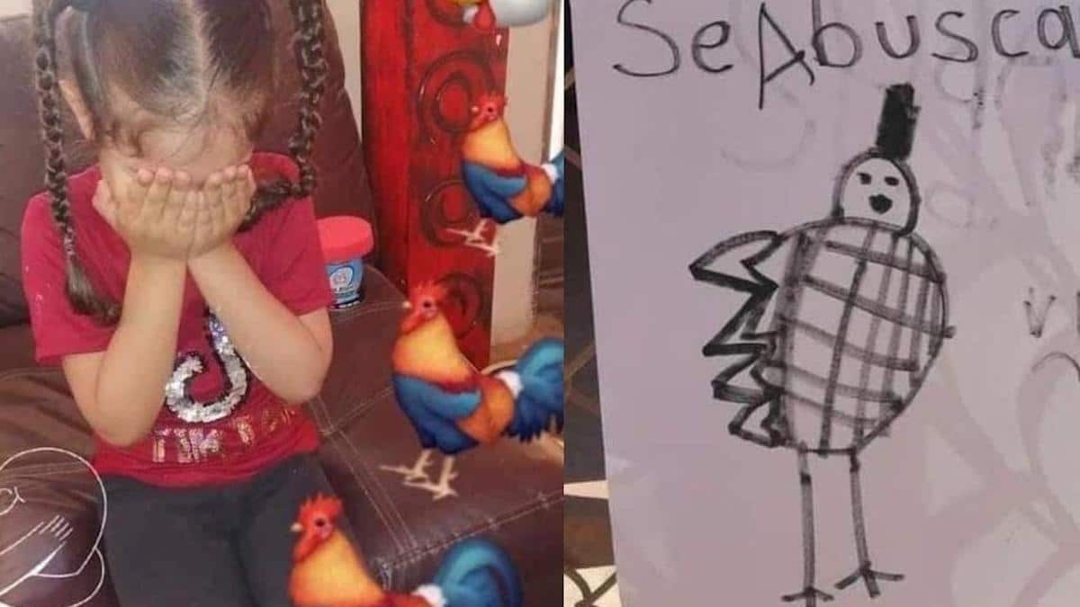 Une jeune fille crée une affiche avec le dessin de sa poule perdue et espère la récupérer.