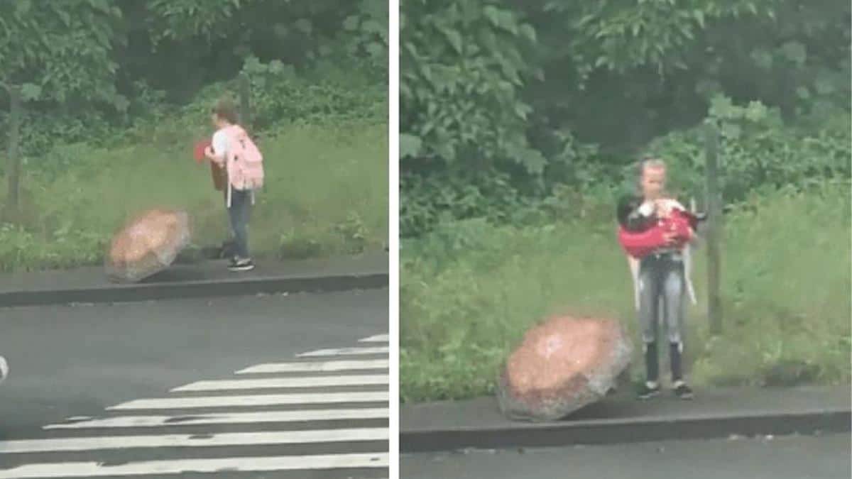 Une jeune fille s'arrête sous la pluie pour récupérer un chien qui aurait été abandonné