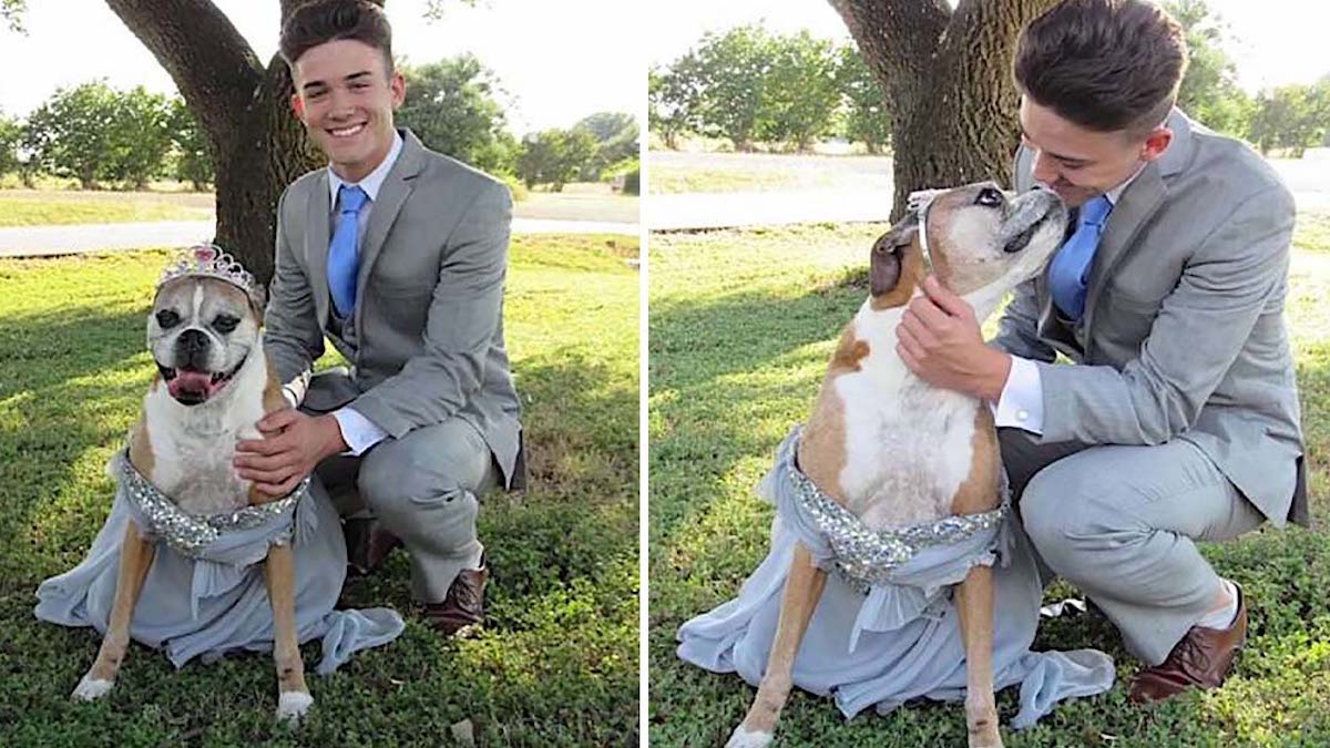 Une jeune homme célèbre le bal de fin d'année avec un chien après la fermeture de l'école