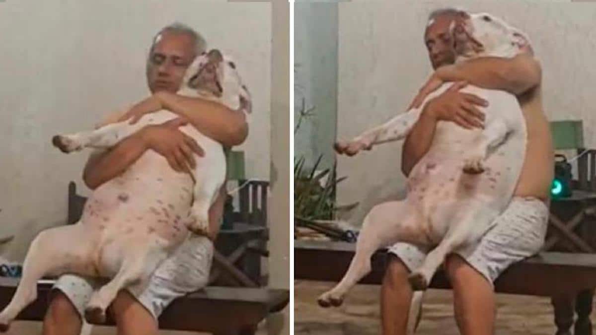 Vidéo: Il filme son père avec son pitbull adopté après qu'il ait dit qu'il n'aimait pas les chiens.