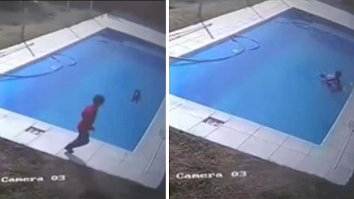 Vidéo: Un garçon de 5 ans a sauté dans une piscine pour sauver son chien de la "noyade".