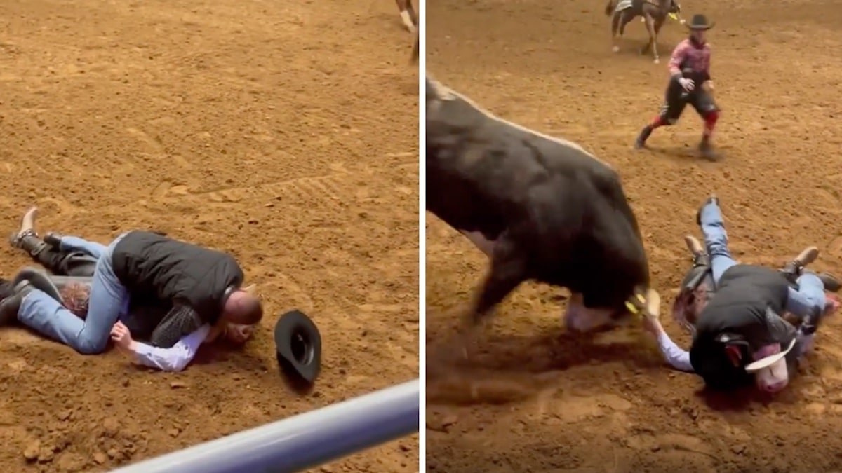 Vidéo : Un père a couvert son fils avec son corps pour le protéger d'une attaque de taureau, il était inconscient