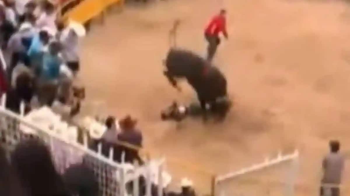 Vidéo : Un taureau piétine un cavalier à plusieurs reprises lors d'un jaripeo à Morelia, Michoacán