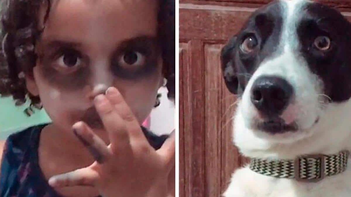 Vidéo: Une fillette devient virale sur les médias sociaux après s'être maquillée pour ressembler à son chien.
