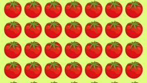 Défi visuel : Trouvez la tomate différente en 10 secondes, réponse et interprétation ici
