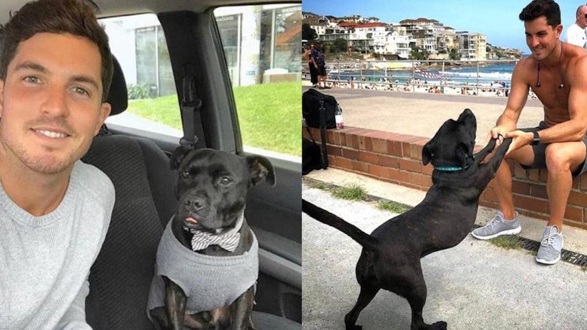 Un chien et un homme se sont liés d'amitié dans un refuge, il a donc décidé de l'adopter